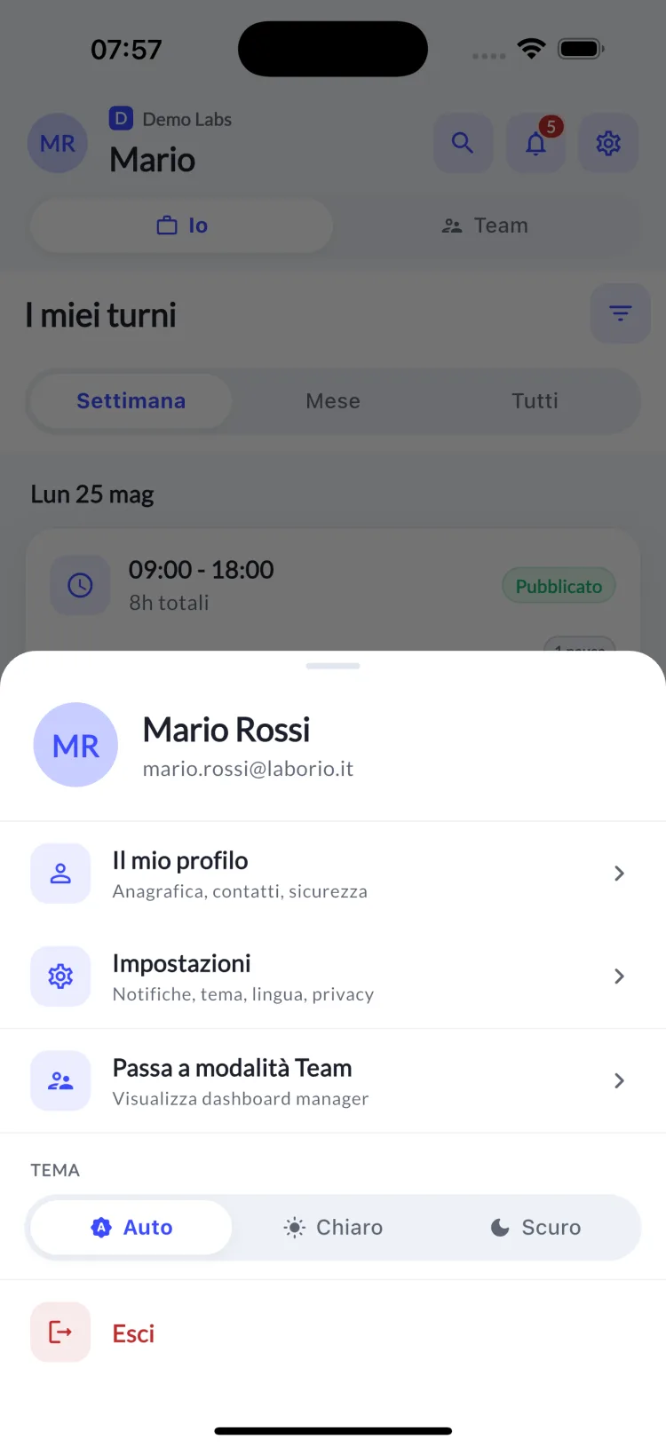 Profil & Theme